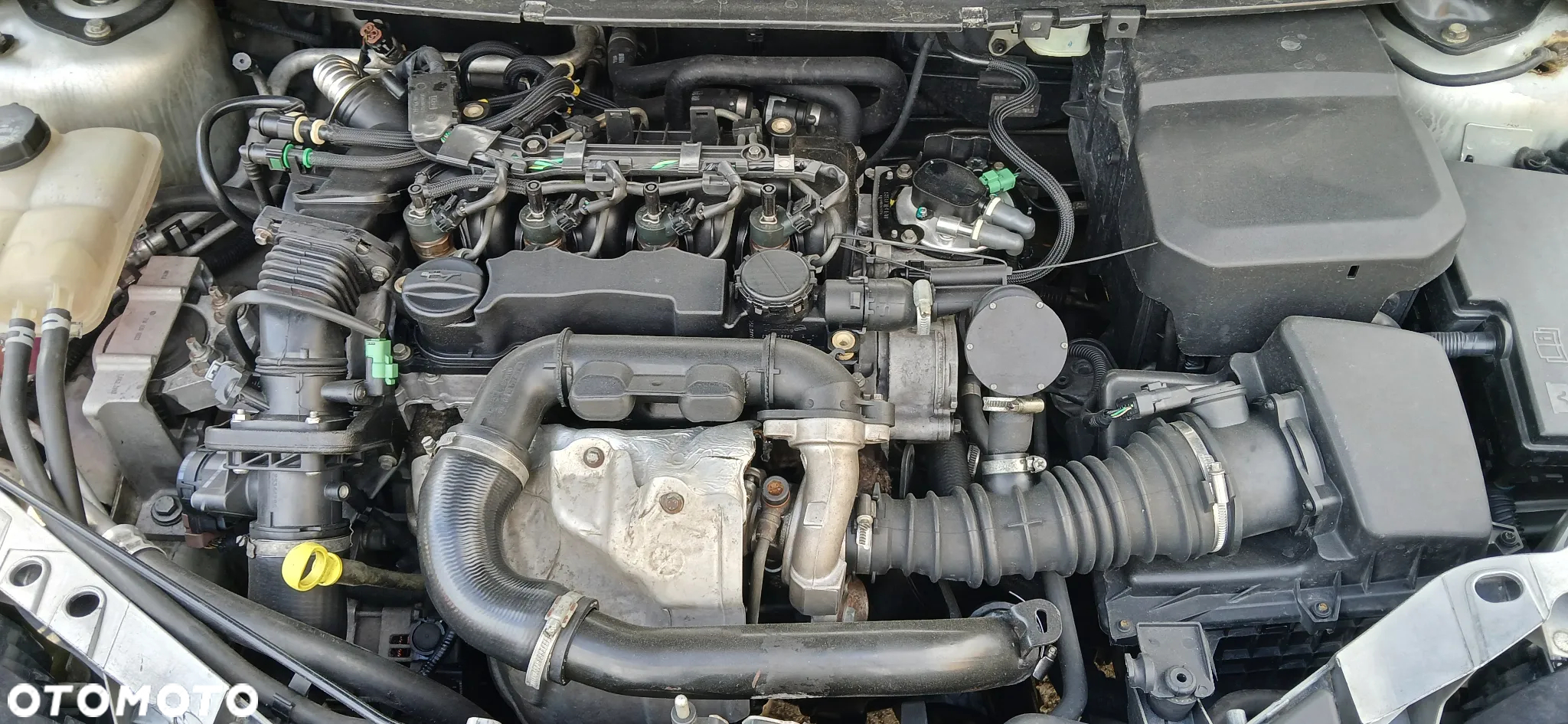 Ford Focus - 23