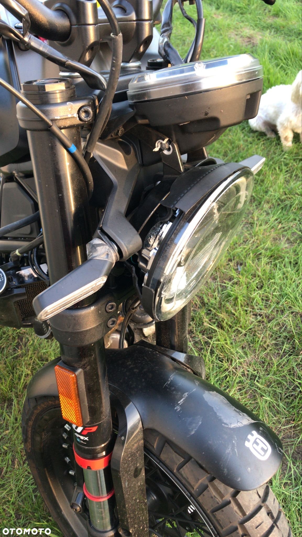 Husqvarna Svartpilen - 7