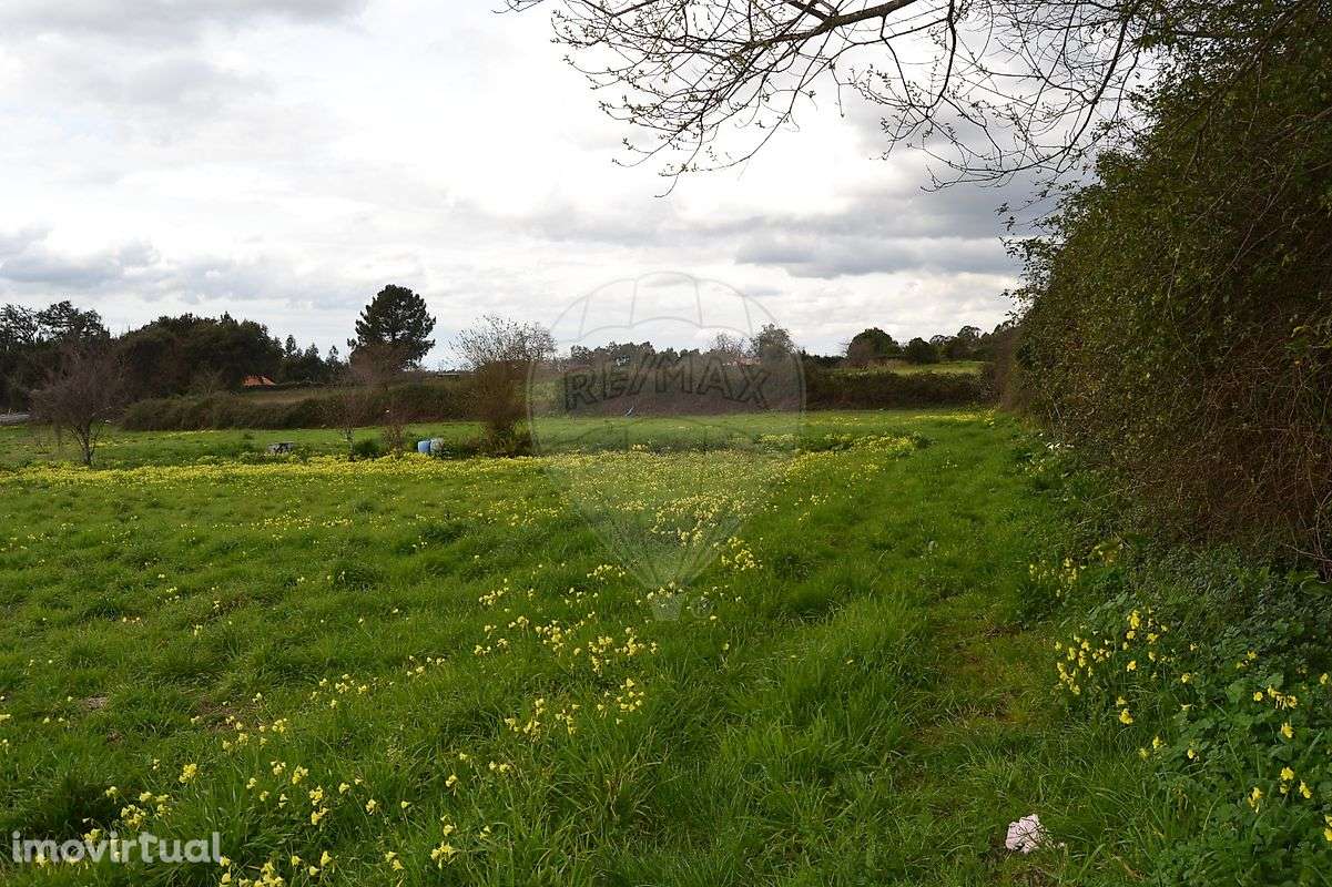 Terreno  para venda - Grande imagem: 3/13