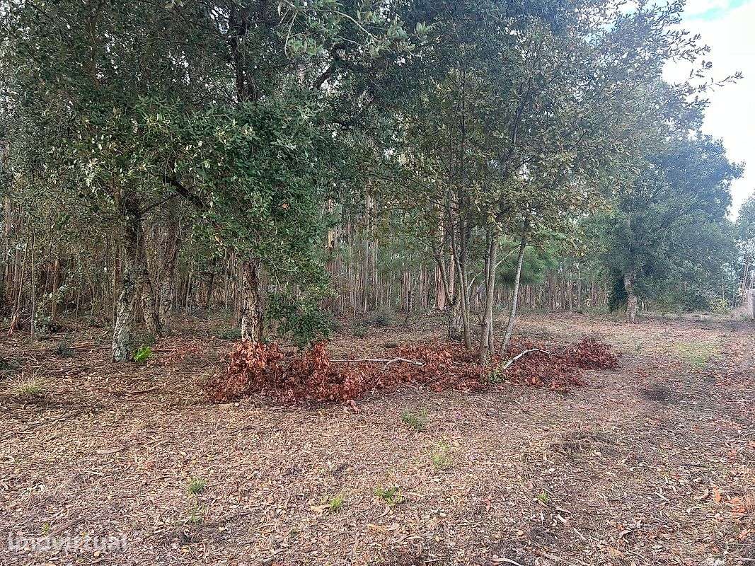 Terreno  para venda - Grande imagem: 5/12
