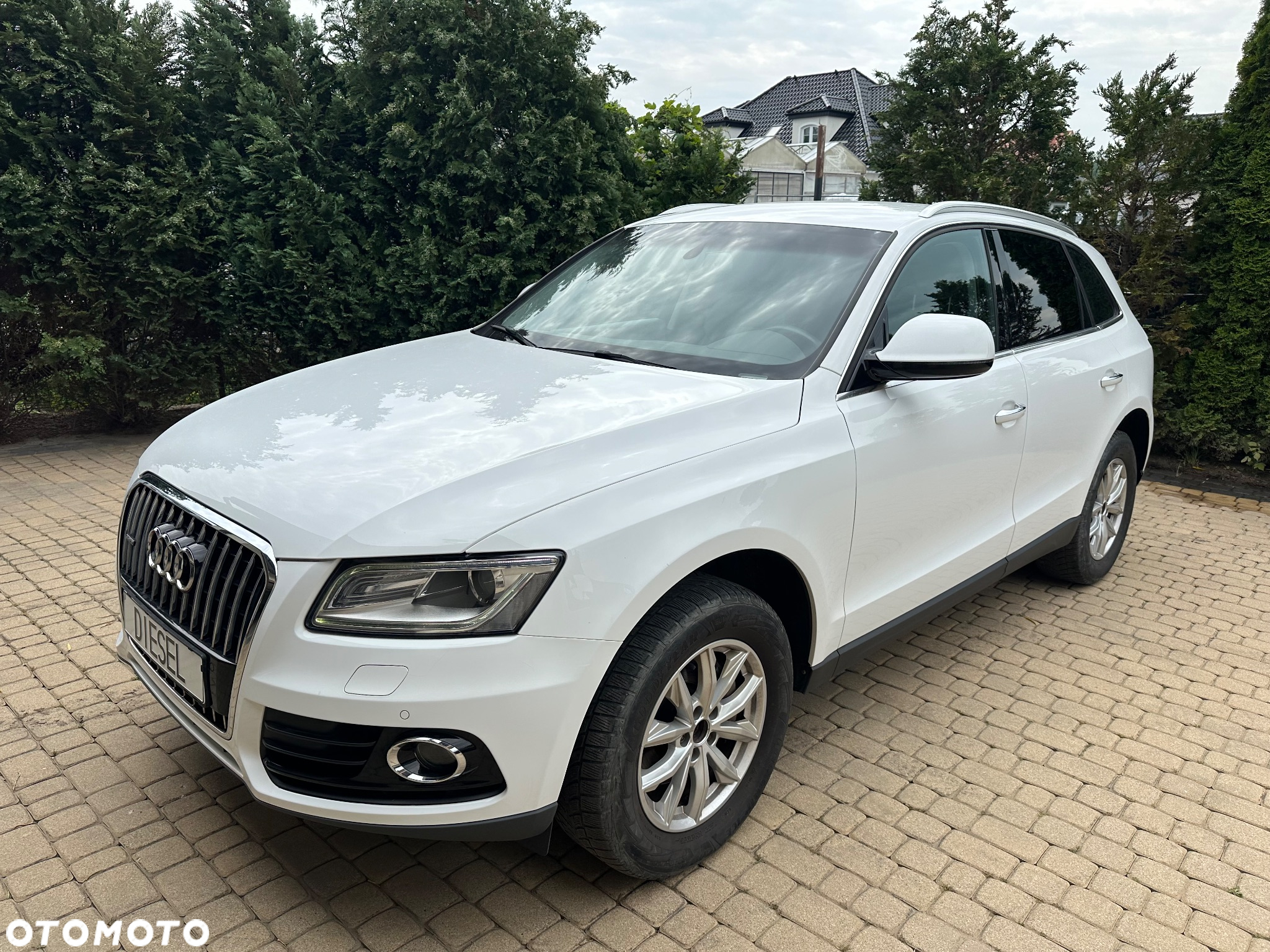 Audi Q5 2.0 TDI clean diesel Quattro S tronic - 20
