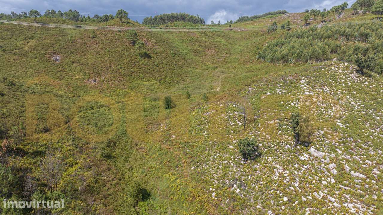 Terreno com 18.500m² em Brunhais - Grande imagem: 4/13
