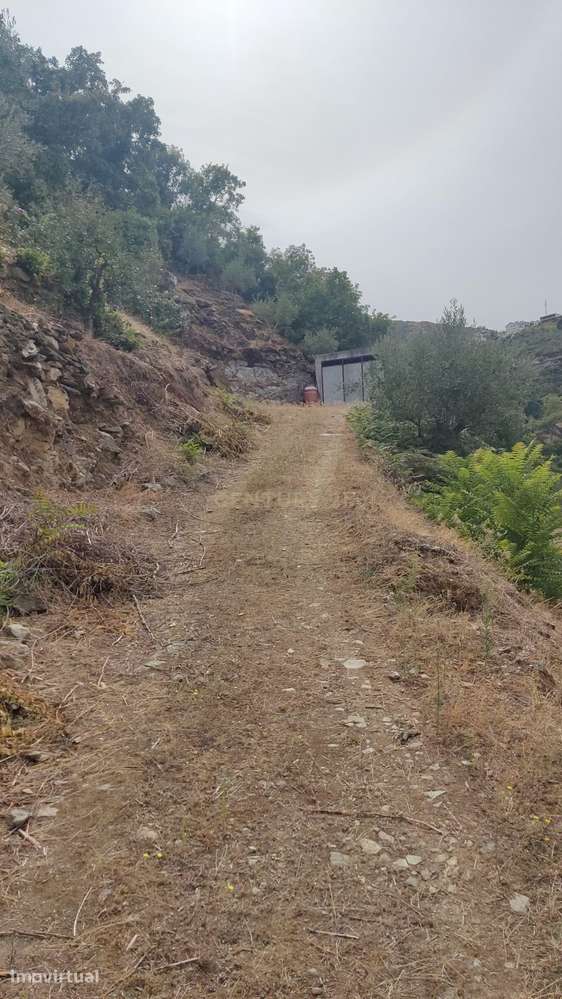 Terreno em Tabuaço, Viseu - 18600m² - Grande imagem: 4/5