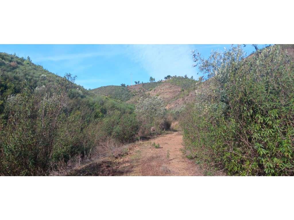 Terreno com 48.240 m2 - Junto a Praia Fluvial de Ortiga , Mação - Grande imagem: 5/15