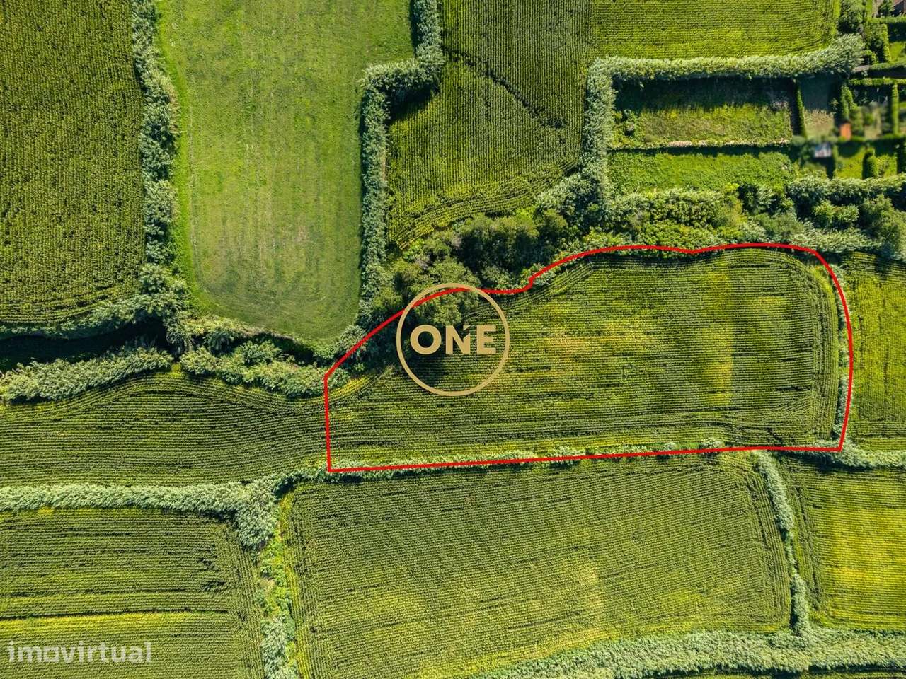 Terreno, 7 640 m², Mosteiros - Grande imagem: 5/5