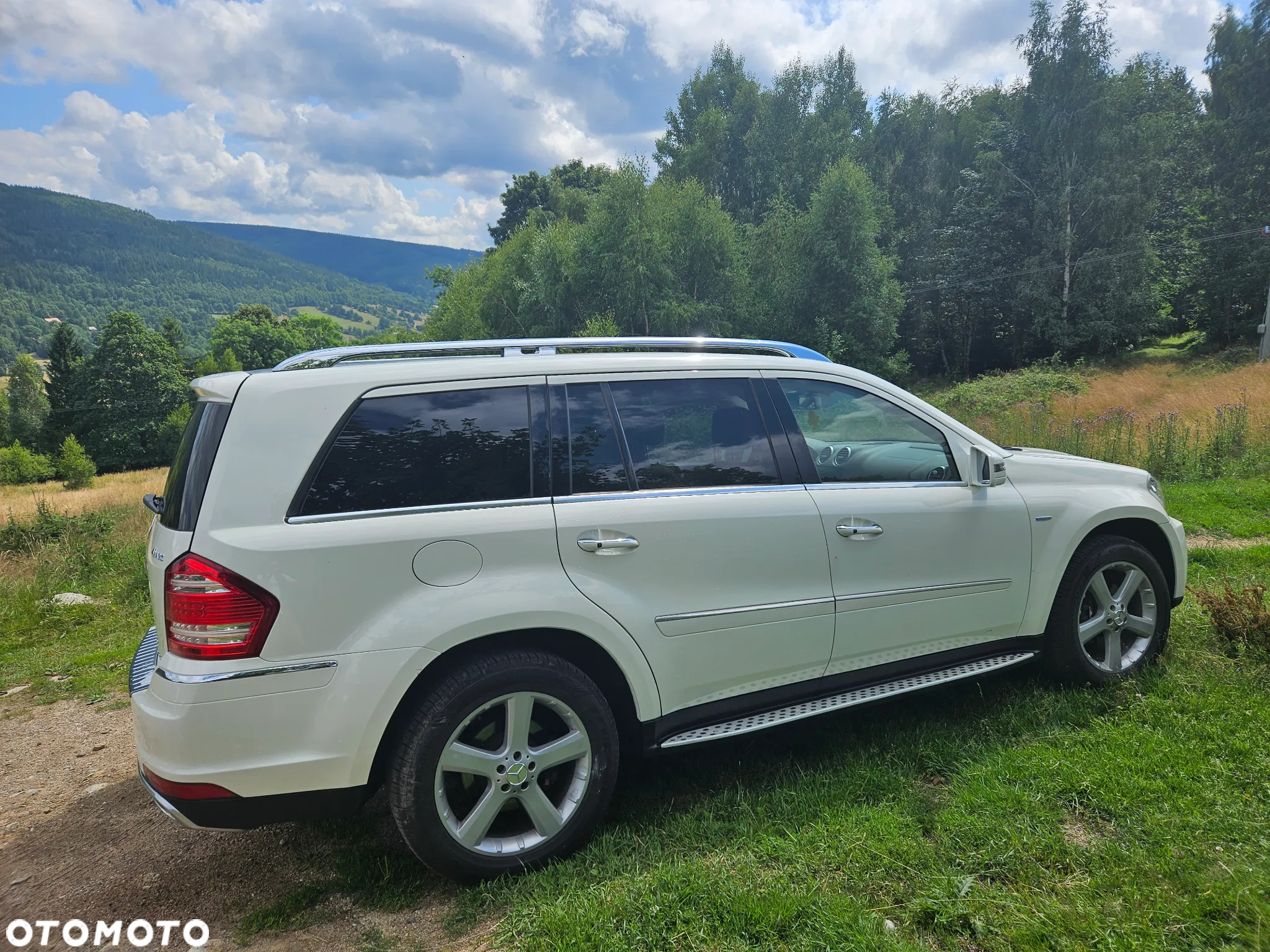 Mercedes-Benz GL 350 BlueTEC 4Matic 7G-TRONIC - 6