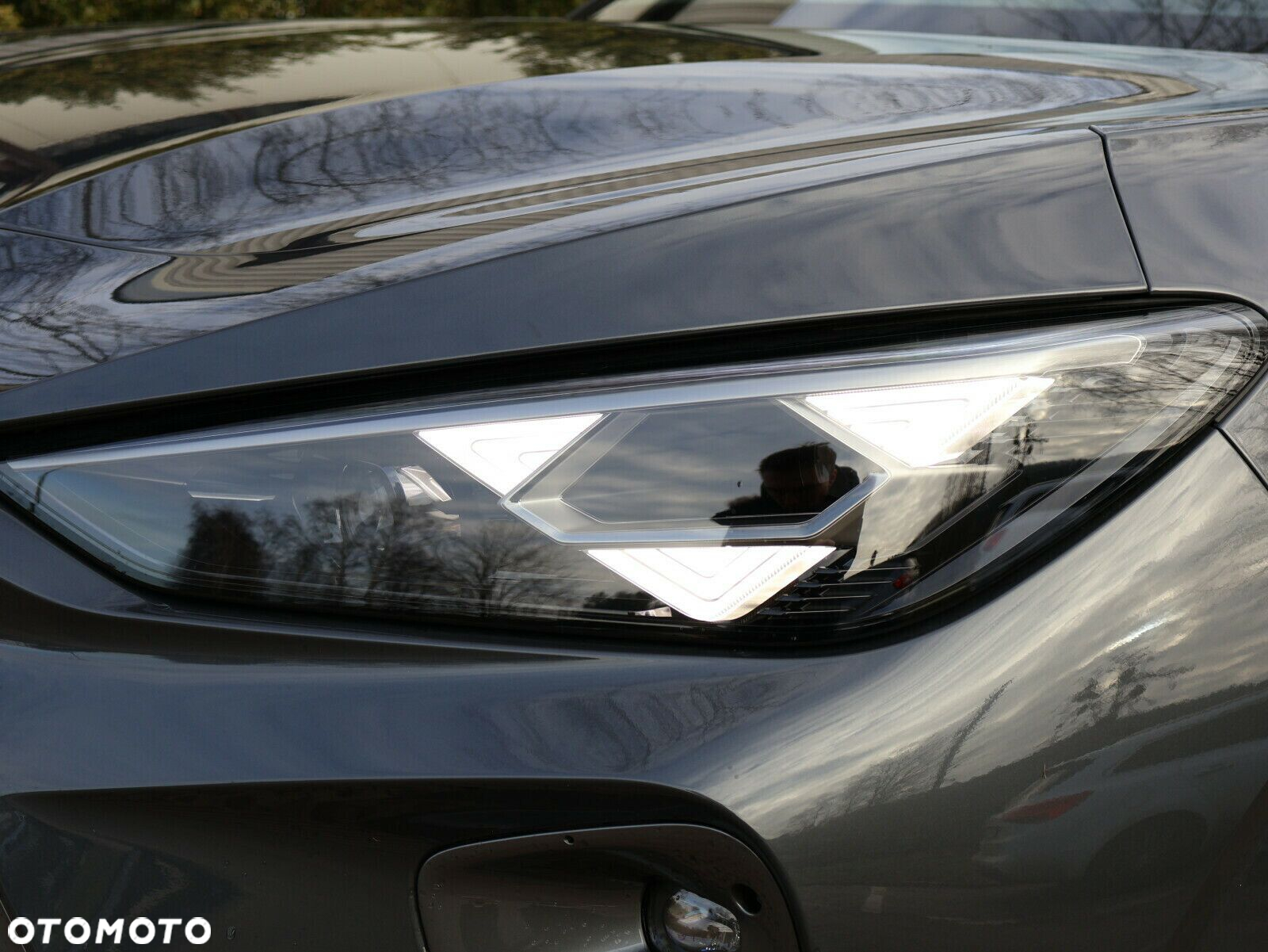 Cupra Terramar - 5