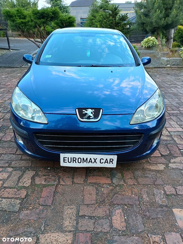 Peugeot 407 - 8