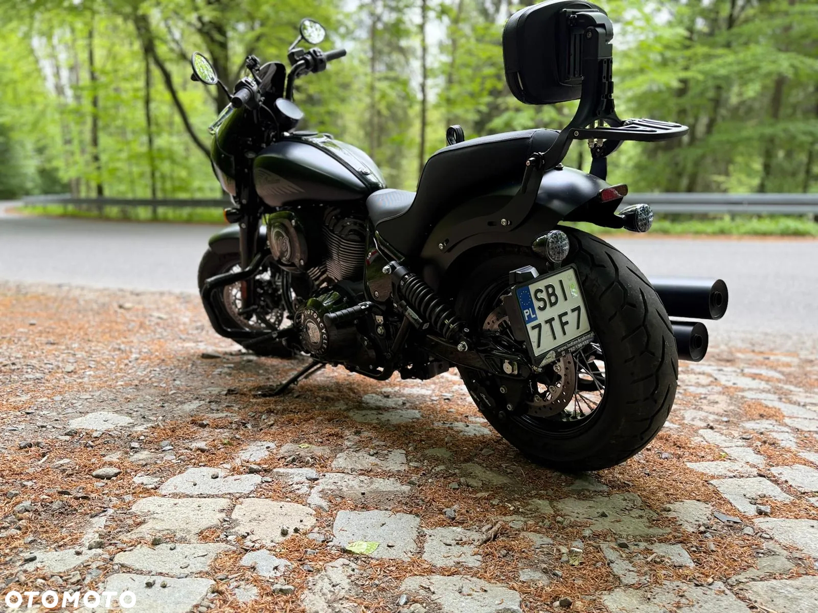 Indian Chief - 3