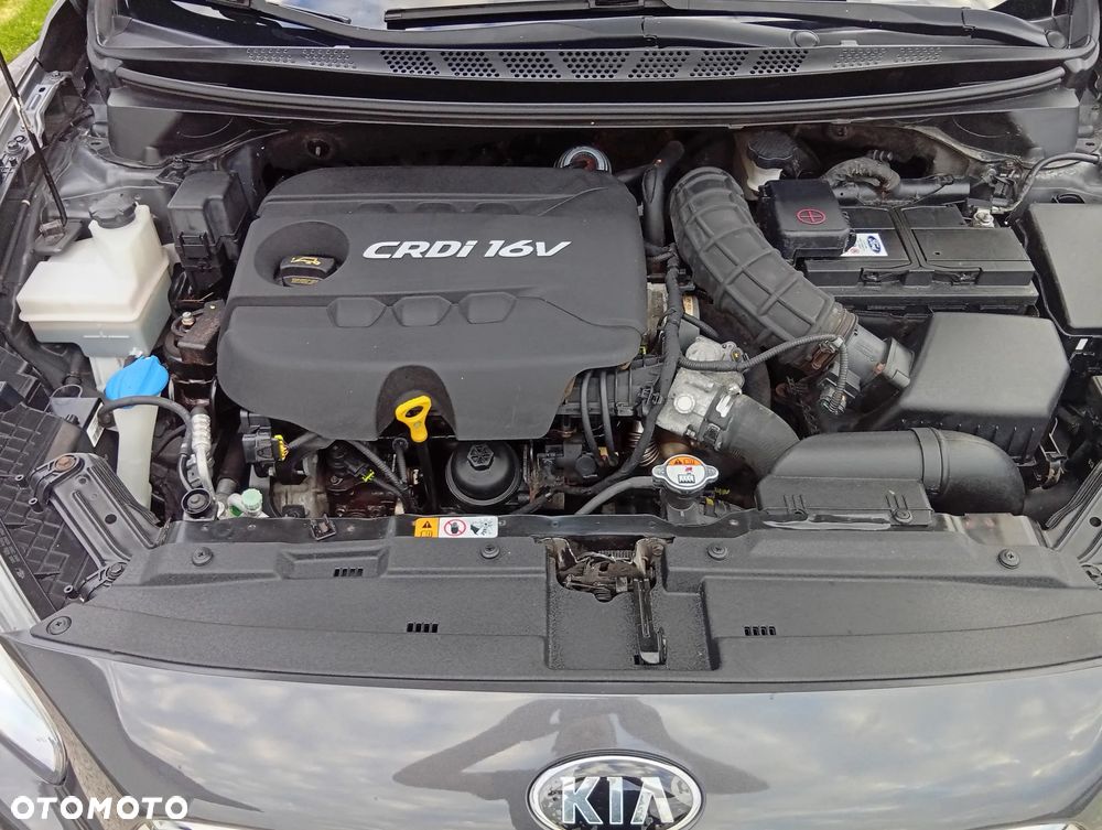 Kia Ceed - 21