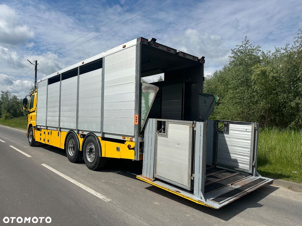 DAF CF 440  DO BYDLA -ZWIERZAT -ZYWCA - 9