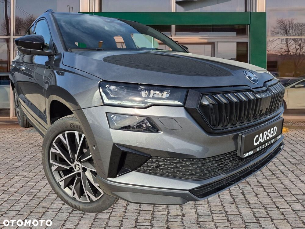 Skoda Karoq - 11