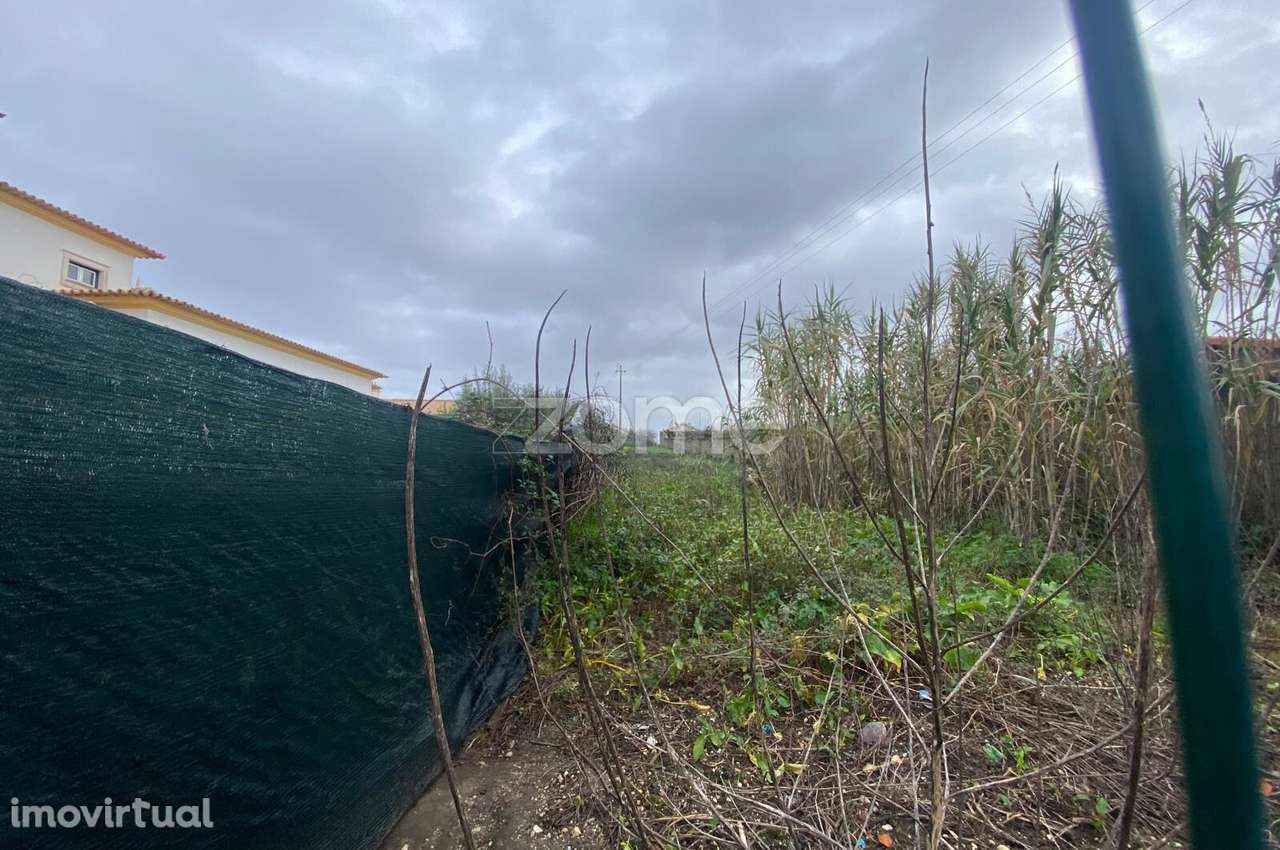 Terreno urbanizável - Grande imagem: 5/19