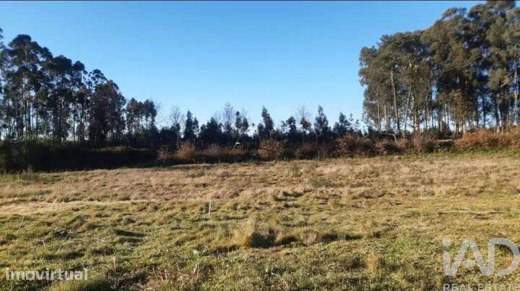 Terreno Agrícola em Bustelo - Grande imagem: 4/12