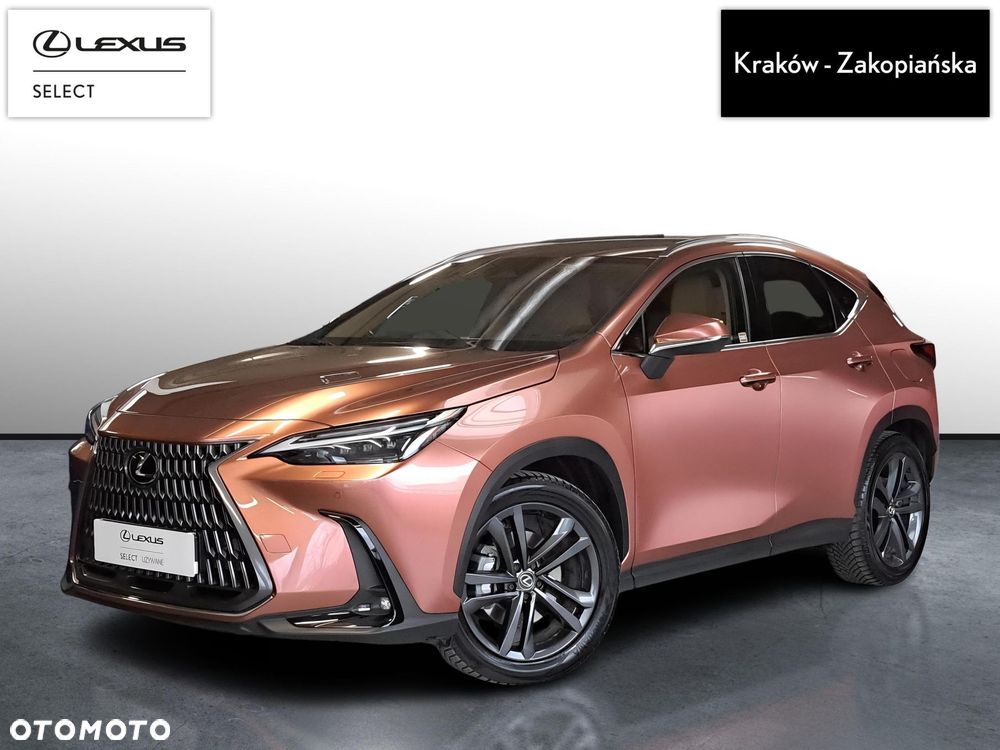 Lexus NX - 2