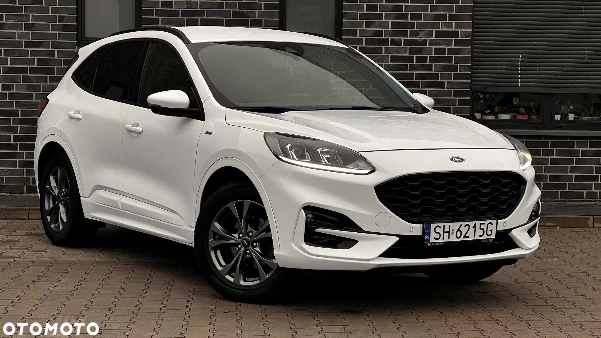 Ford Kuga 2.0 EcoBlue 4x4 ST-LINE - 12