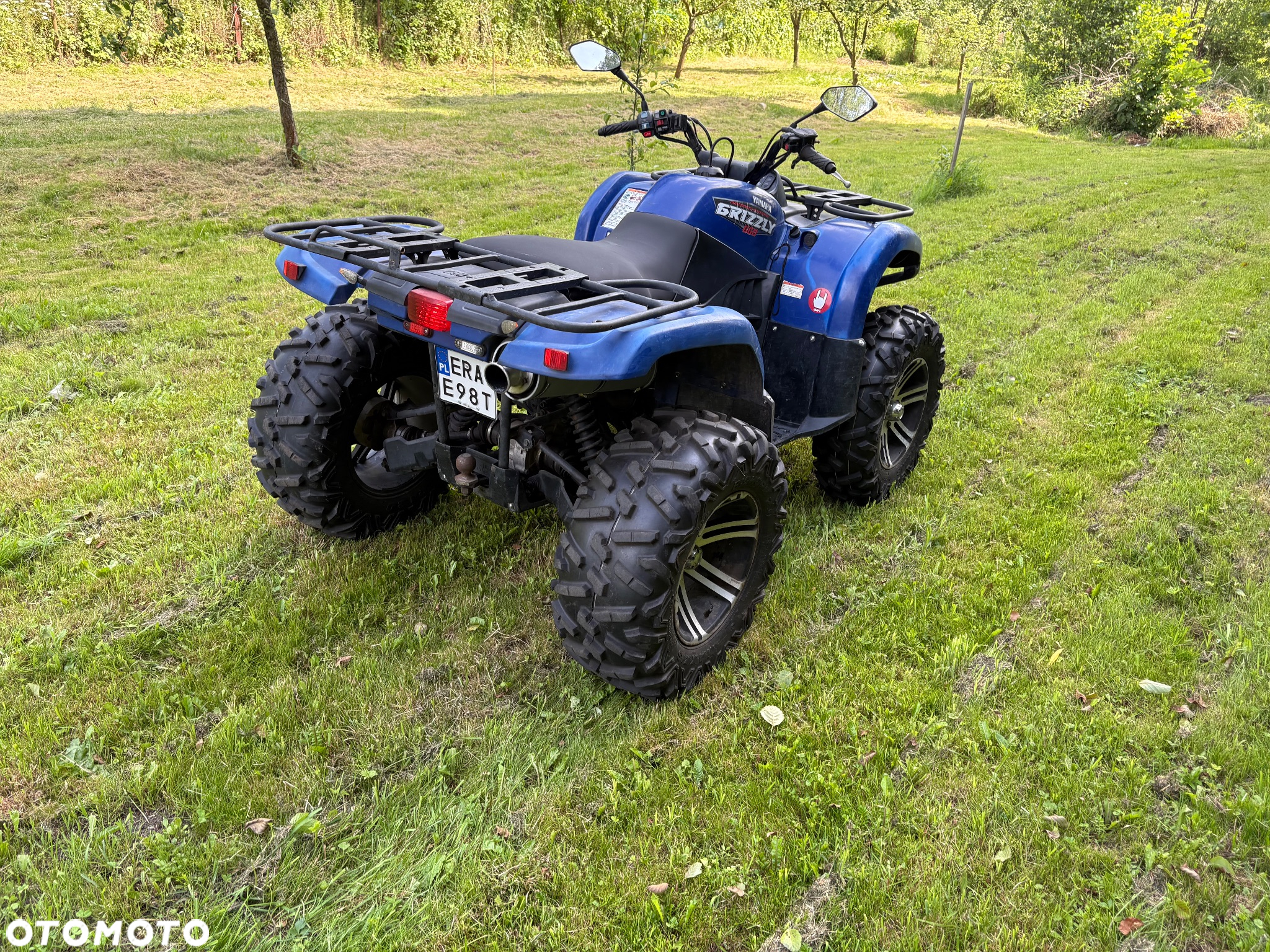 Yamaha Grizzly - 5