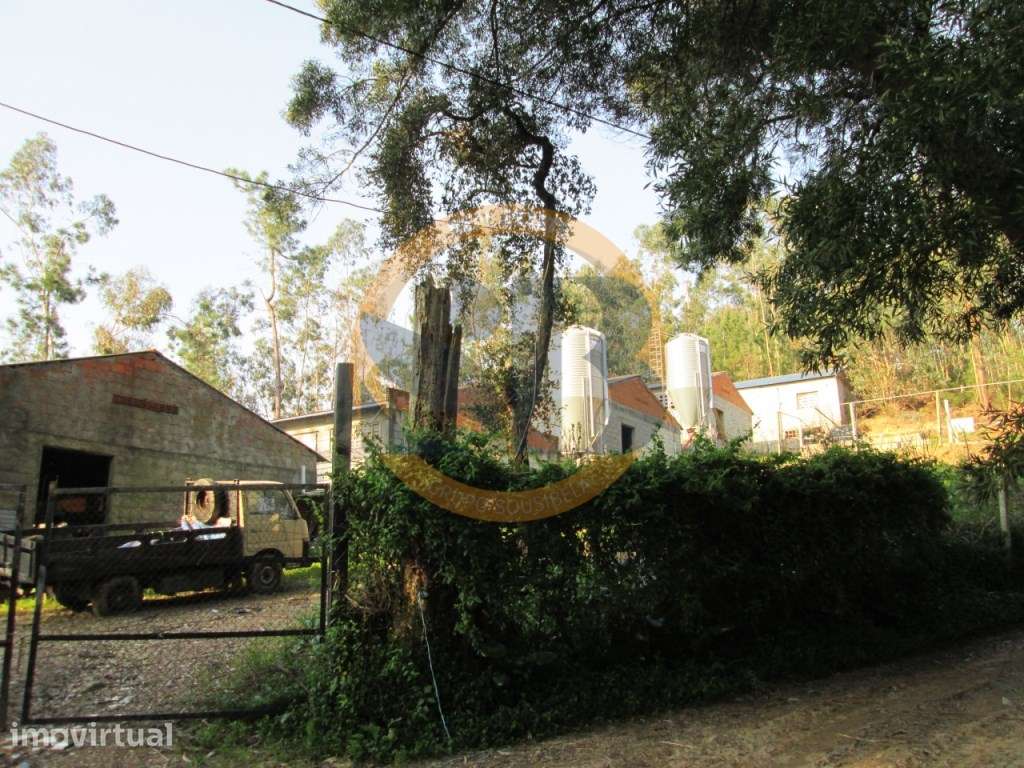 Terreno em Oliveira de Azeméis - Grande imagem: 2/7