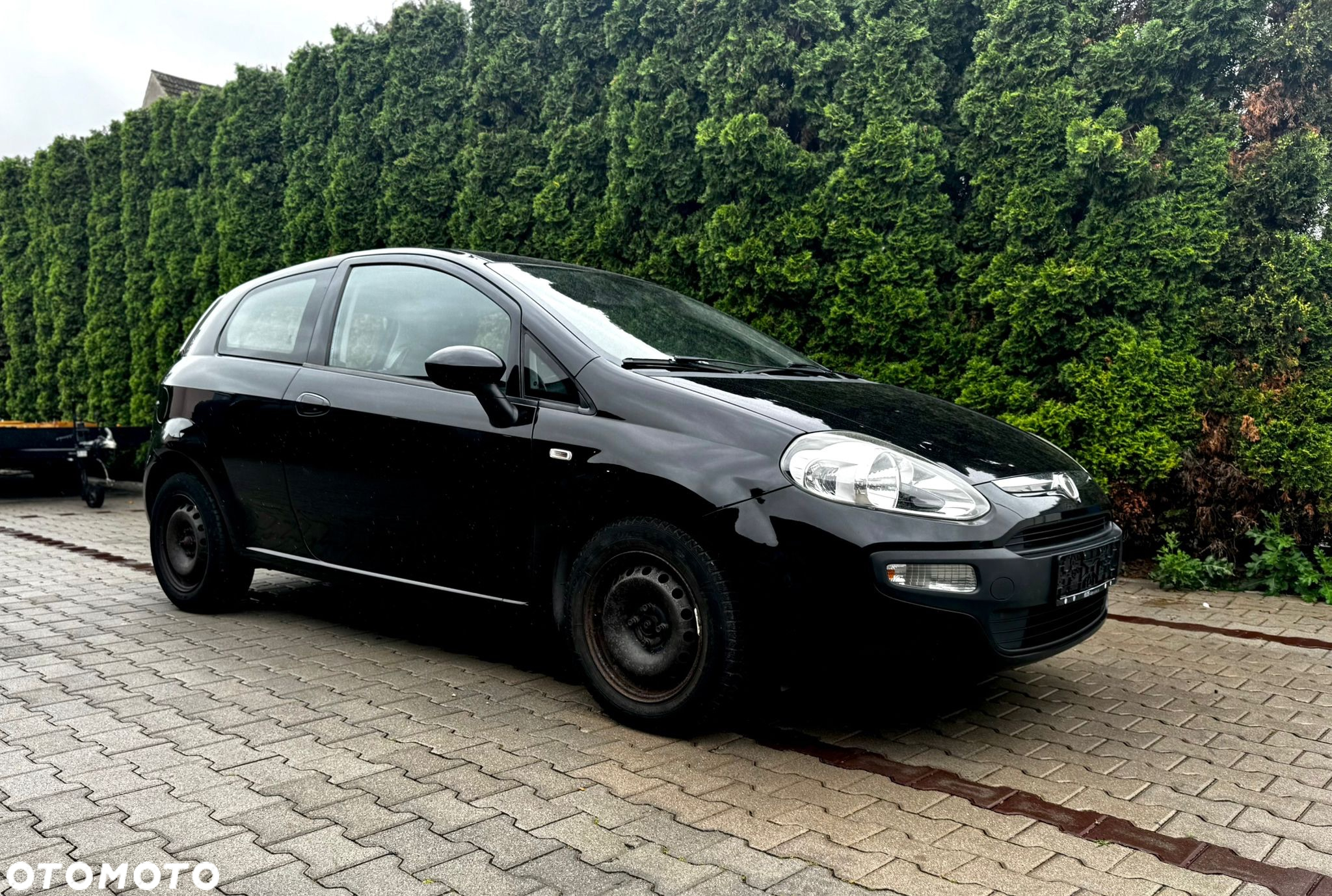 Fiat Punto 1.2 Fresh - 10