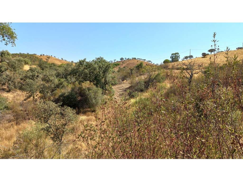 Herdade no Alentejo - Grande imagem: 3/30