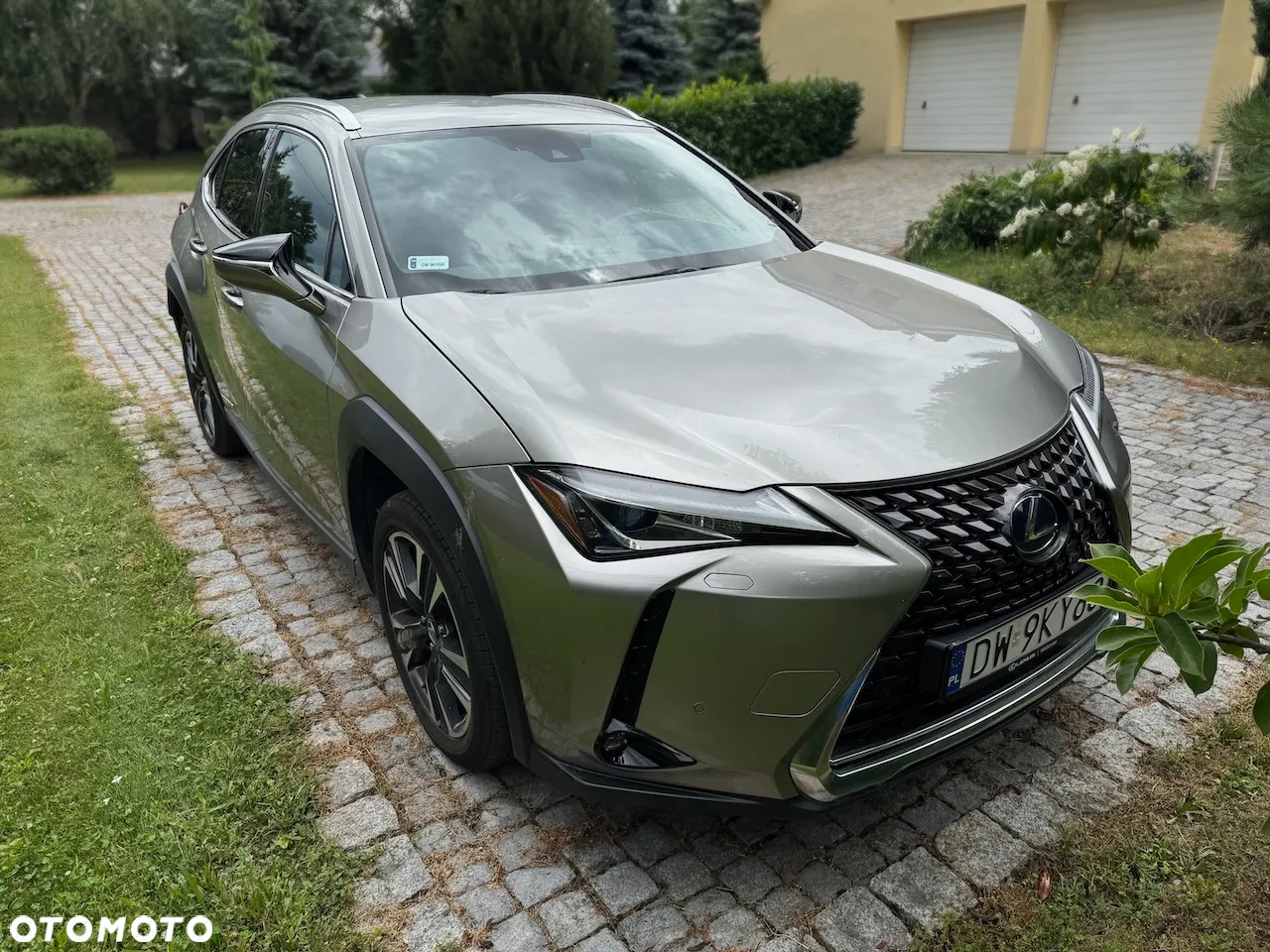 Lexus UX 250h GPF Business Edition 2WD - 16