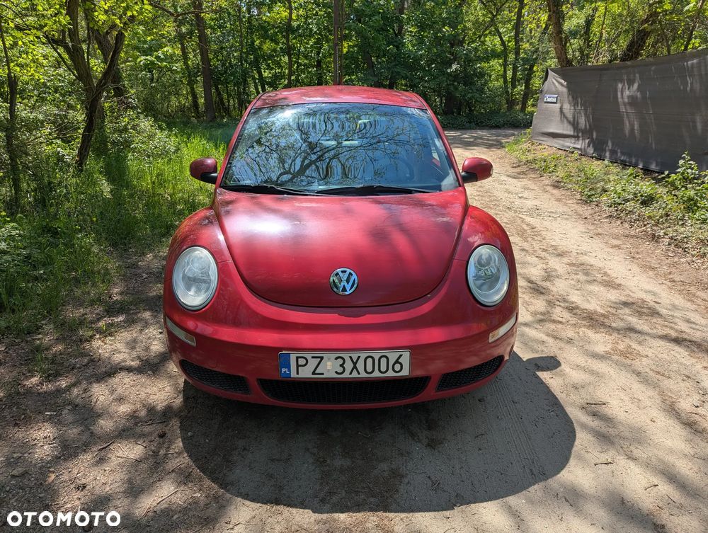 Volkswagen New Beetle - 6