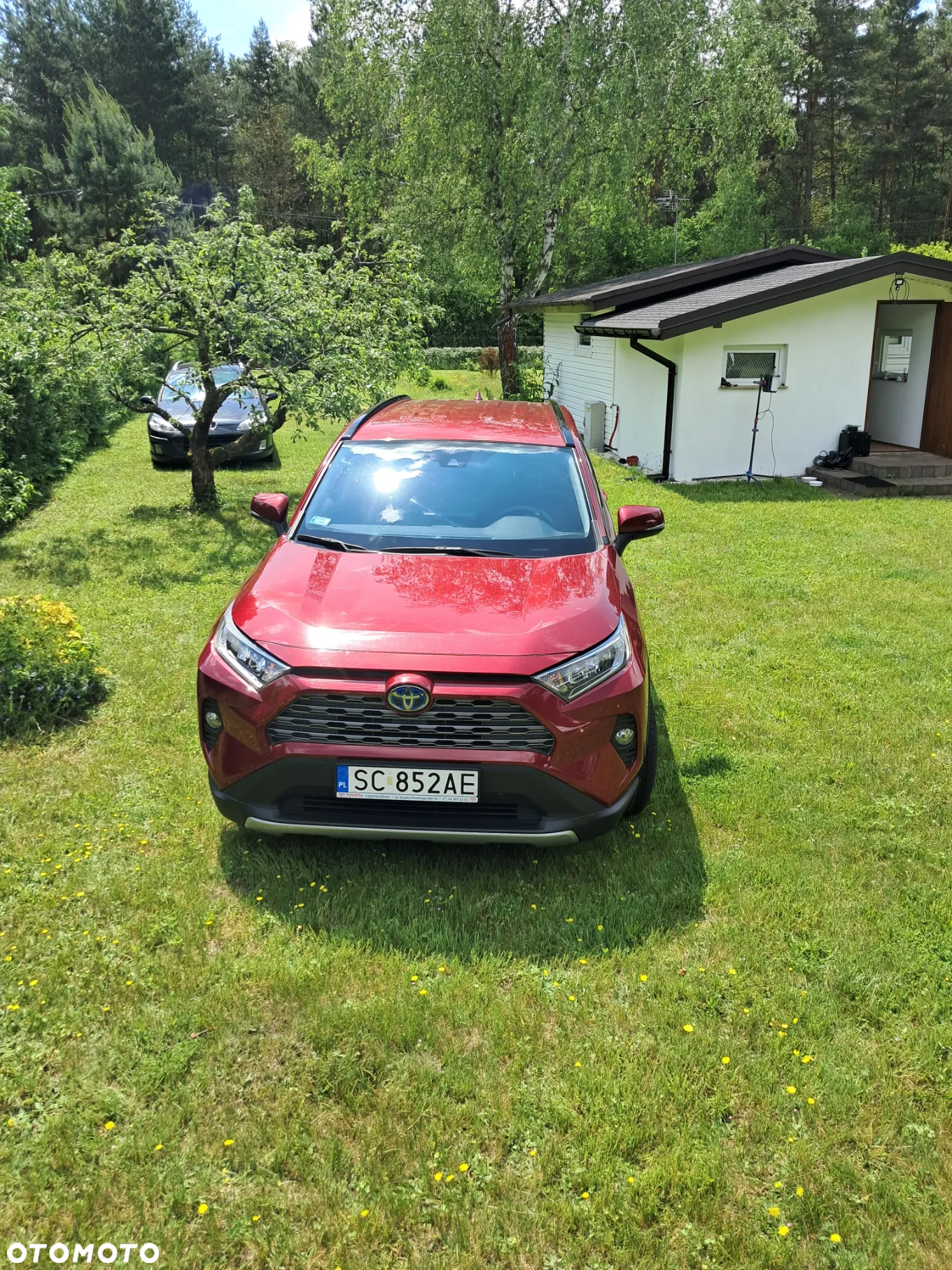 Toyota RAV4 2.5 Hybrid Comfort 4x4 - 2