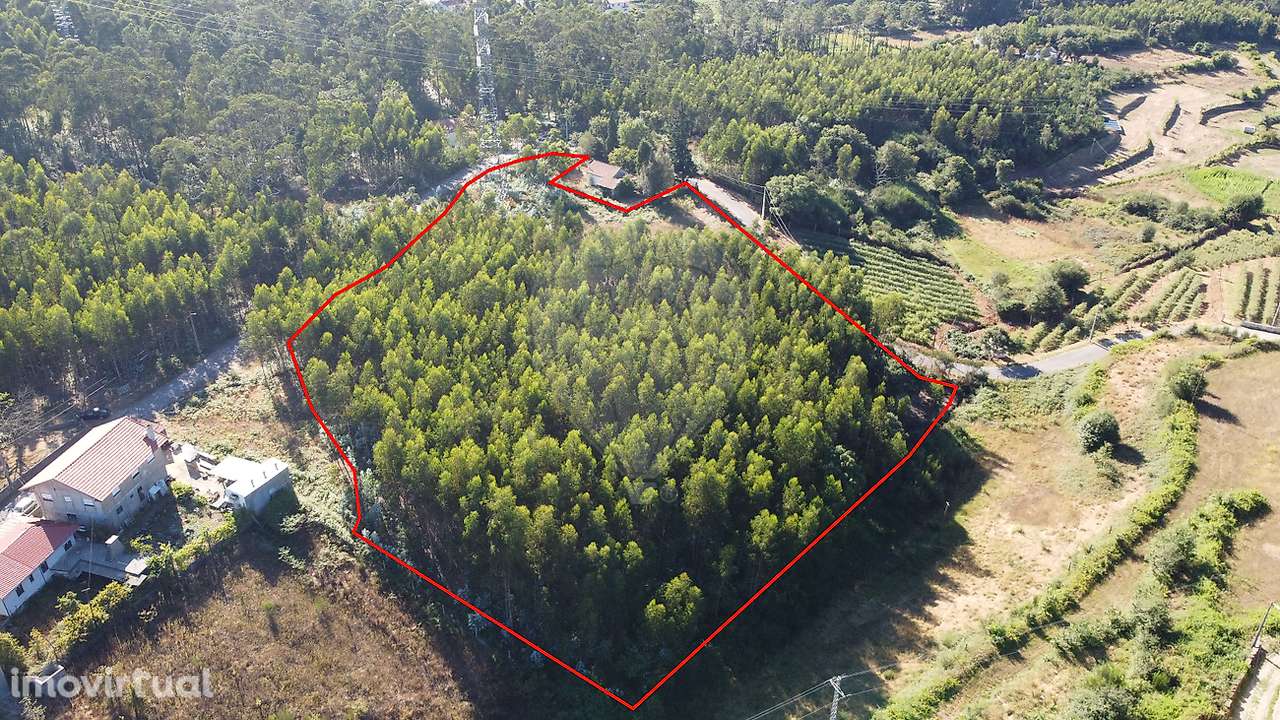 Terreno  para venda - Grande imagem: 2/10