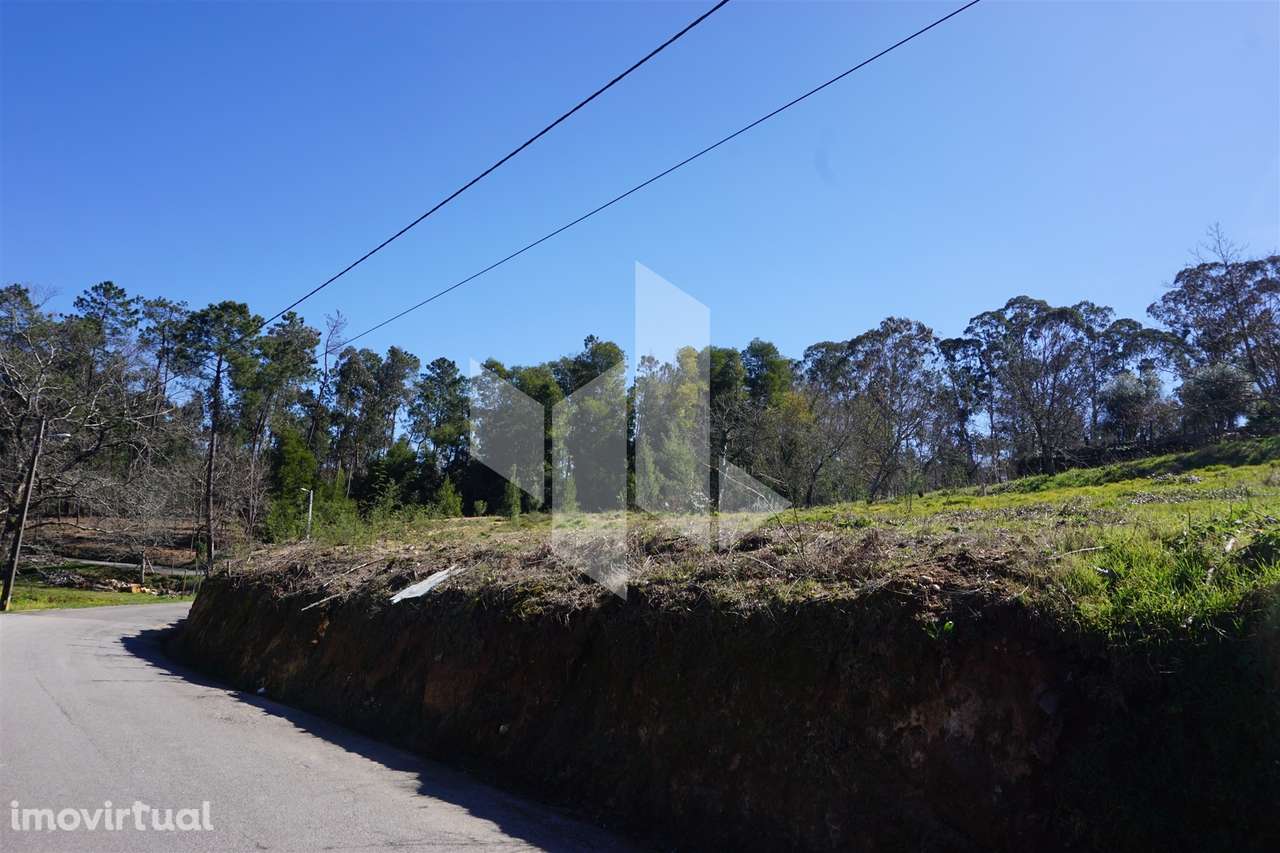 Terreno Urbano  Venda em Campo de Besteiros,Tondela - Grande imagem: 5/5