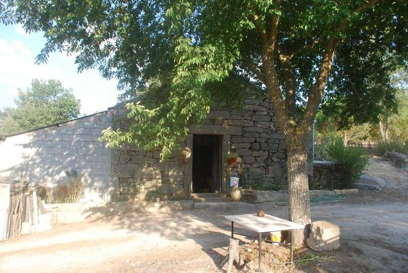 Quinta da Foroa, Macieira (Sernancelhe) - Grande imagem: 4/12