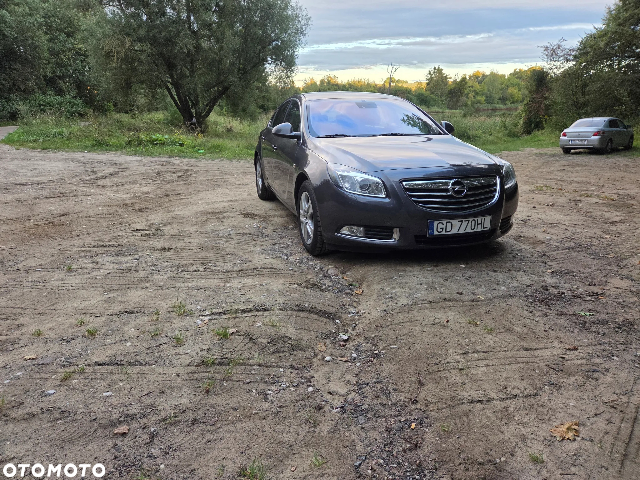 Opel Insignia 2.0 CDTI Edition - 2