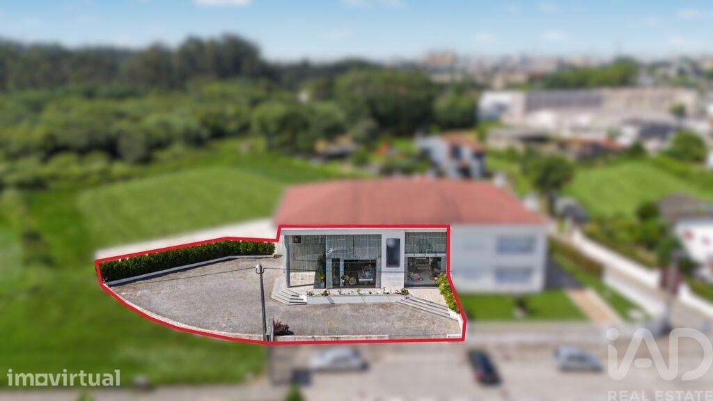 Loja / Estabelecimento Comercial em Nogueira e silva escura de 423,00 - Grande imagem: 4/26