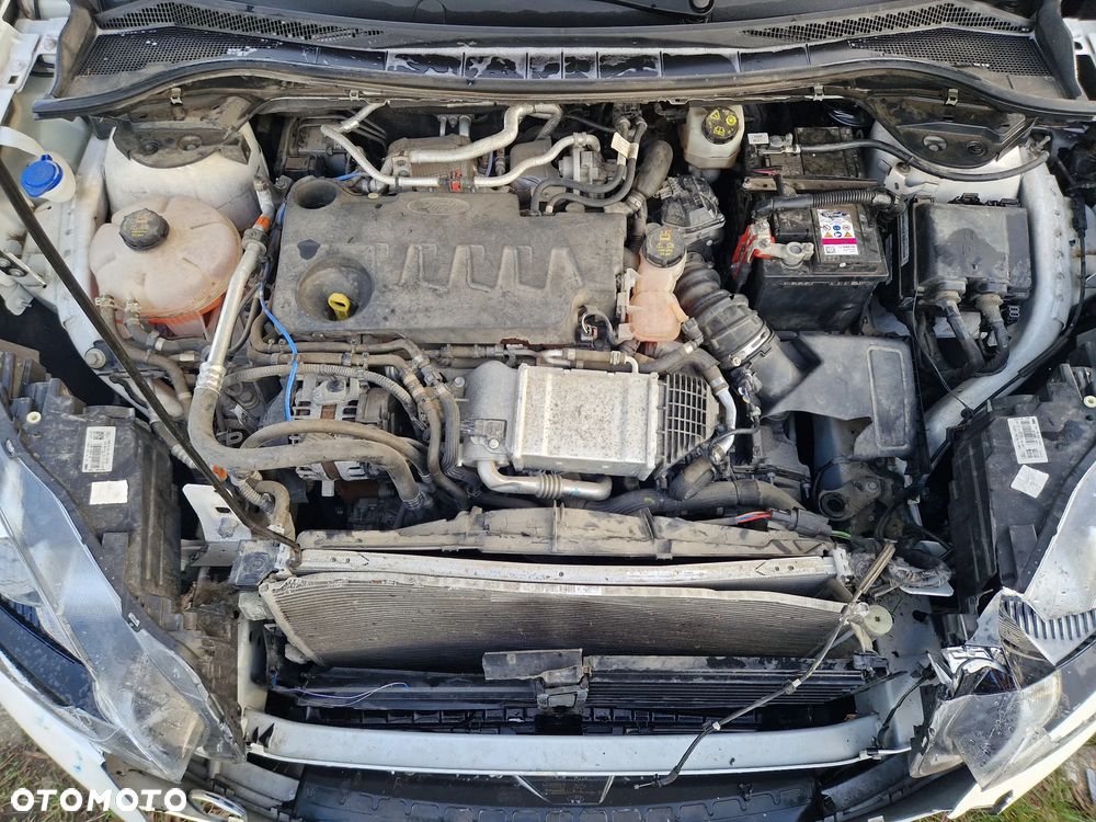 Ford Kuga 2.0 EcoBlue AWD ST-Line - 12