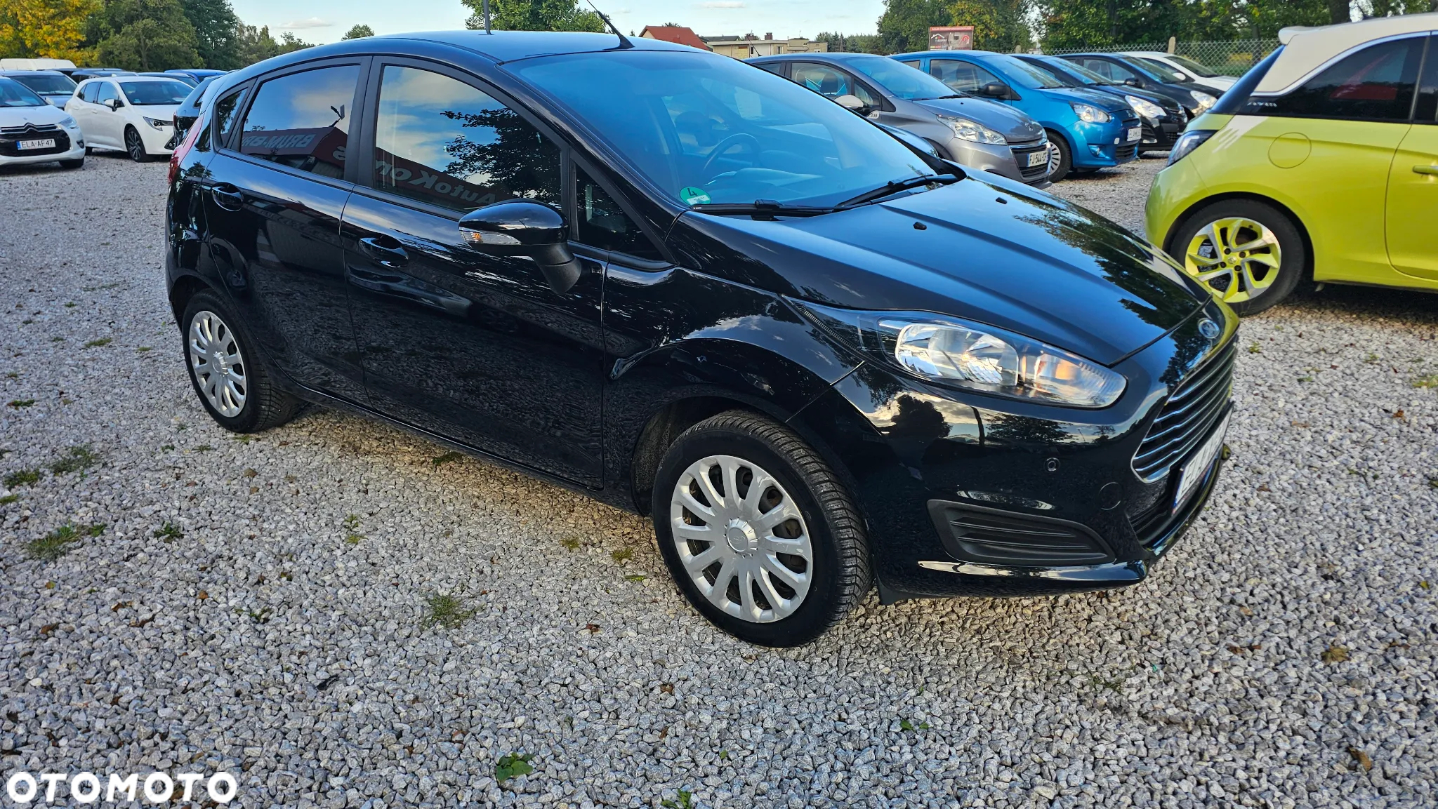 Ford Fiesta 1.0 Trend EU6 - 8