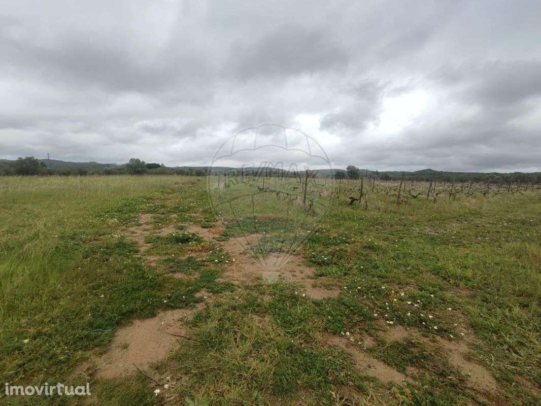 Terreno  para venda - Grande imagem: 4/5