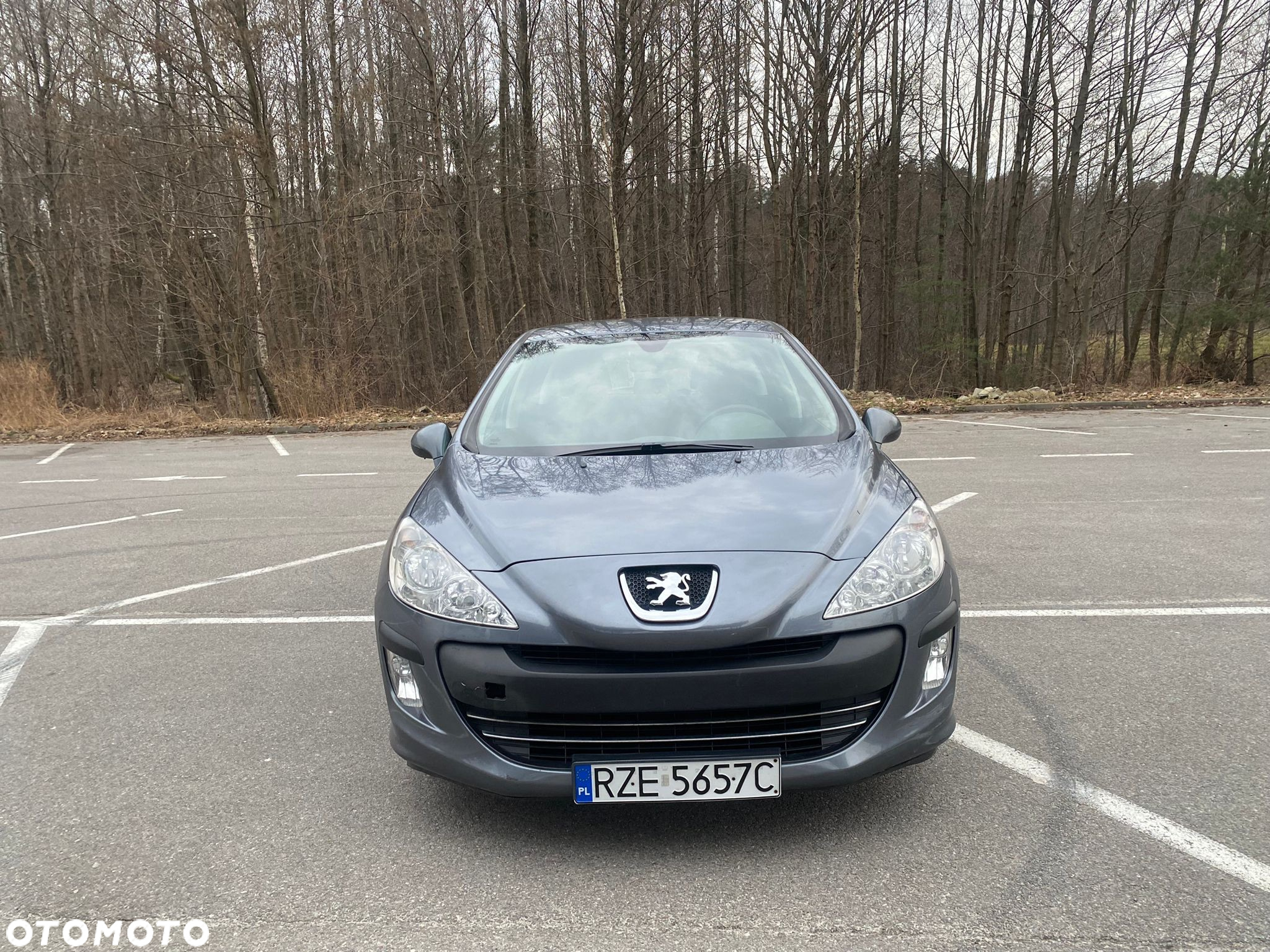 Peugeot 308 - 2