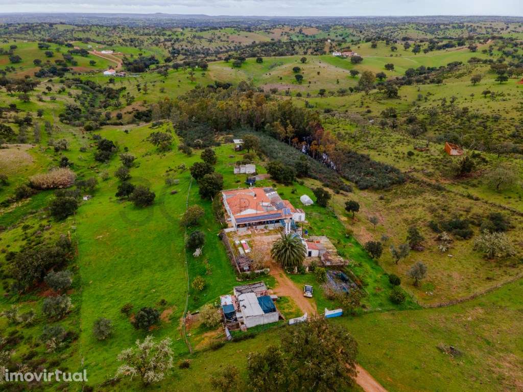 Quinta em Serpa com moradia T4 - Grande imagem: 3/30