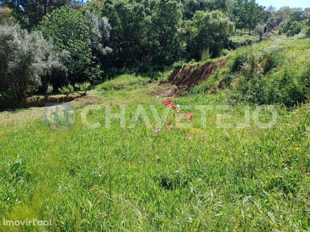Terreno rústico com vista para a Albufeira do Castelo do Bode. - Grande imagem: 2/10