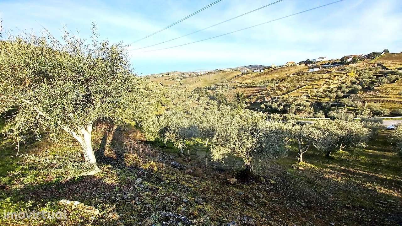 Terreno  para venda - Grande imagem: 4/5