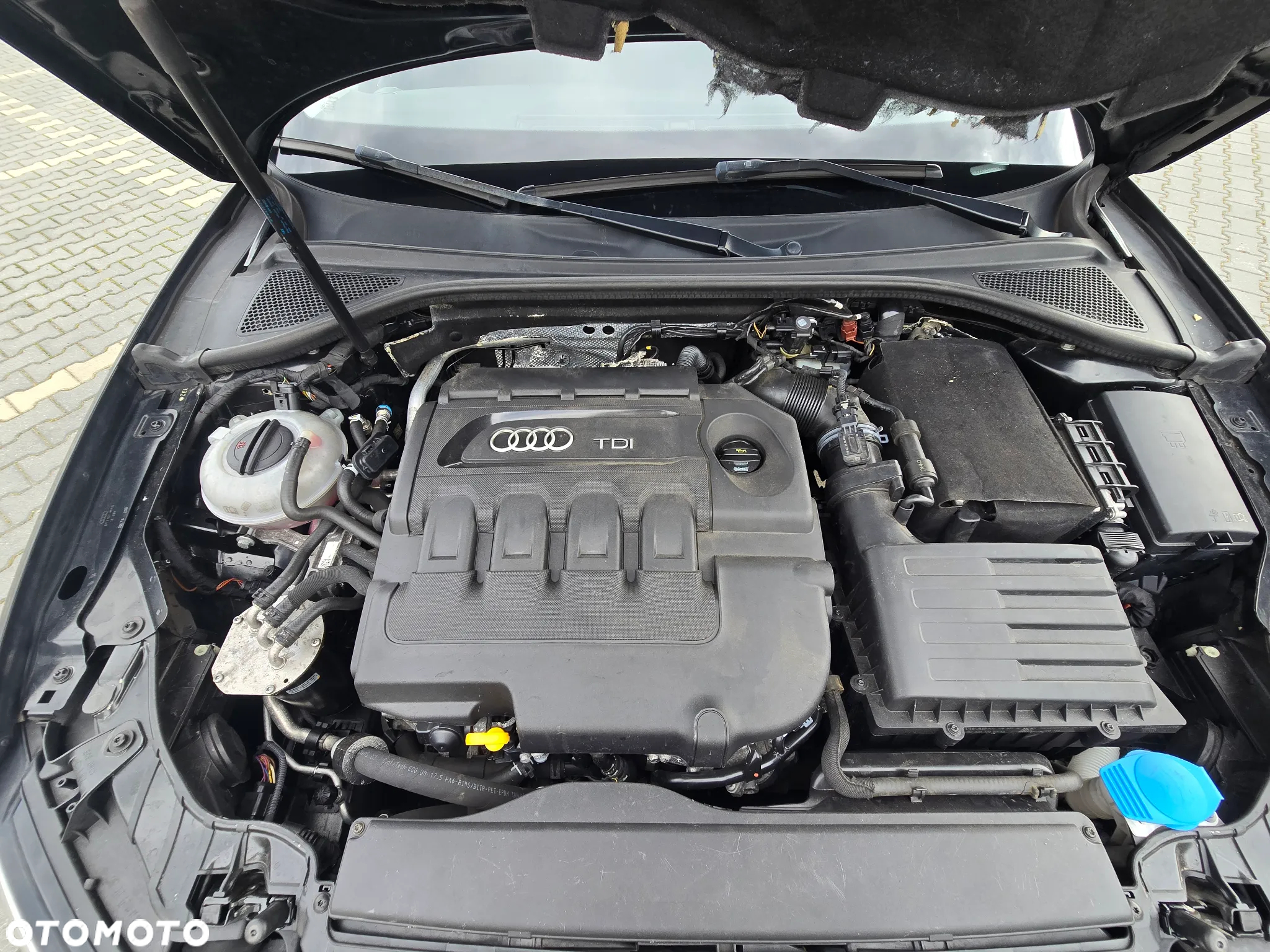 Audi A3 1.6 TDI S tronic - 27