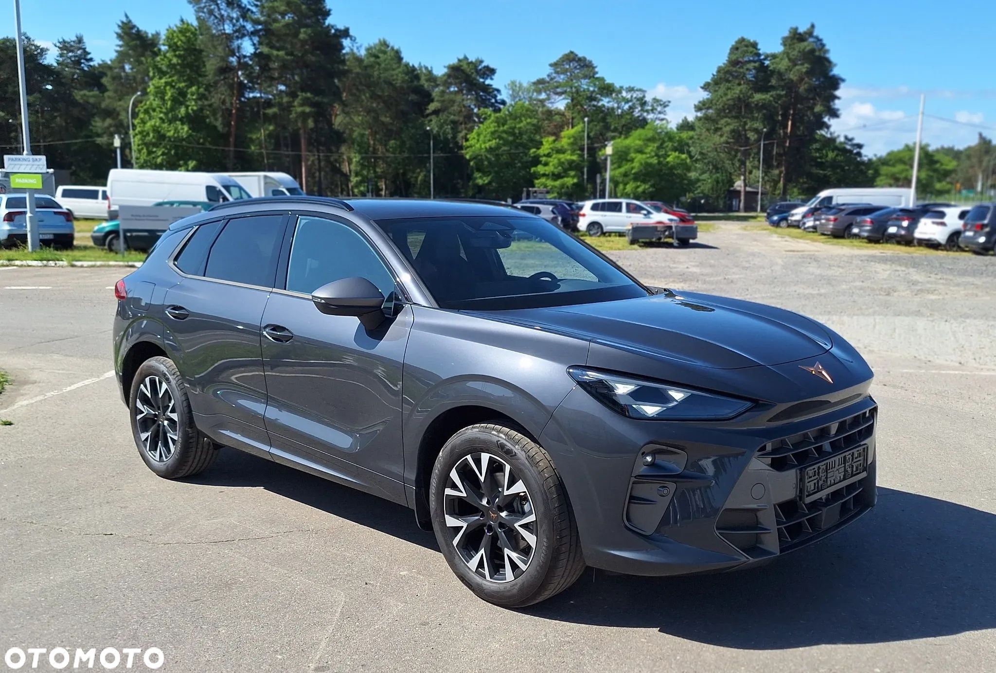 Cupra Terramar 1.5 eTSI DSG - 1