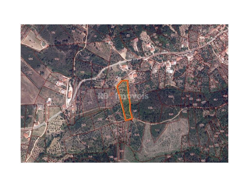 Terreno rústico com 6280m² - Pero Calvo, Tomar - Grande imagem: 3/14