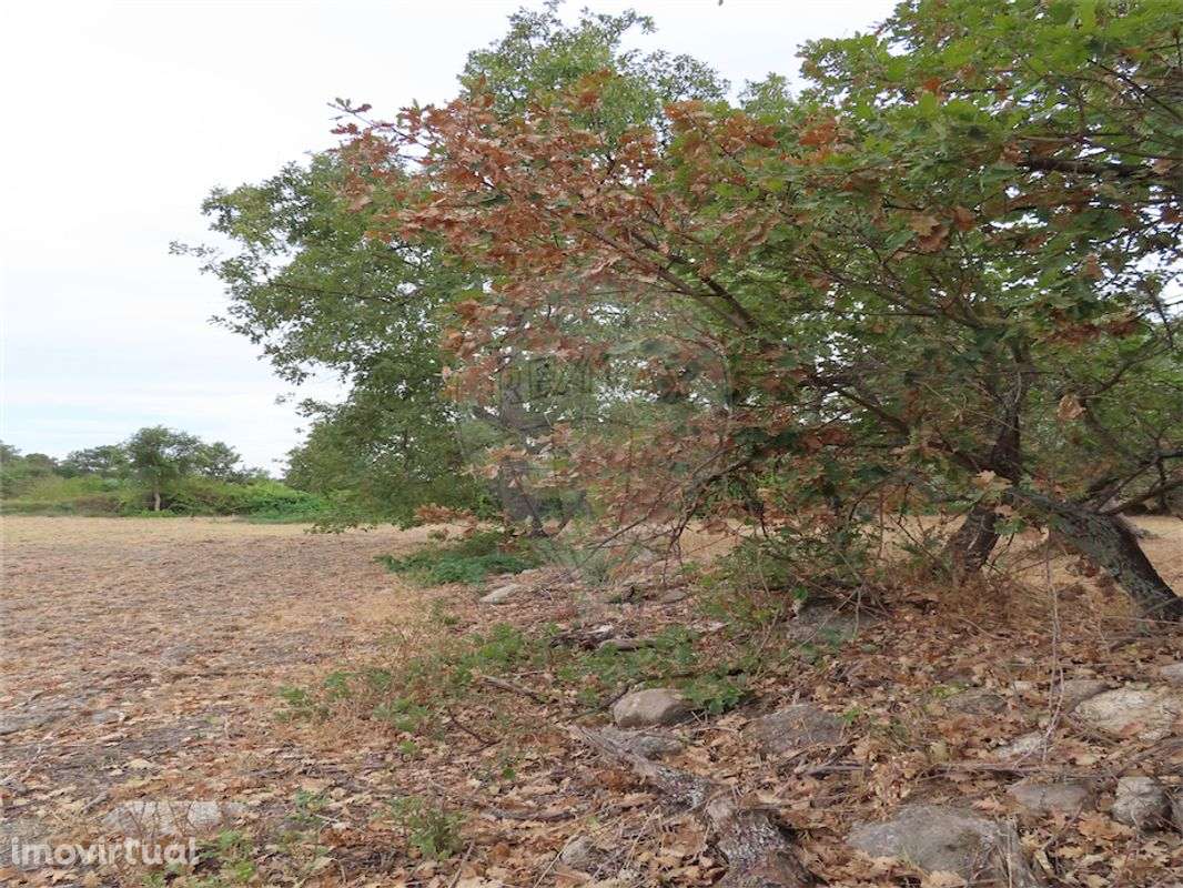 Quinta  para venda - Grande imagem: 2/18