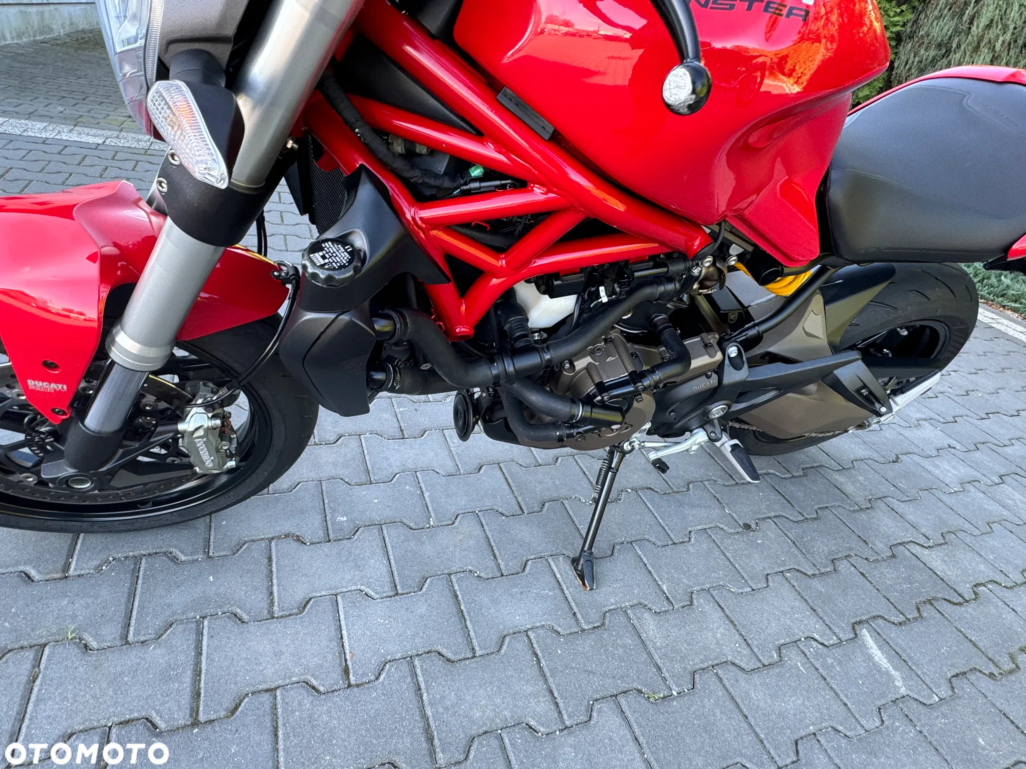 Ducati Monster - 30