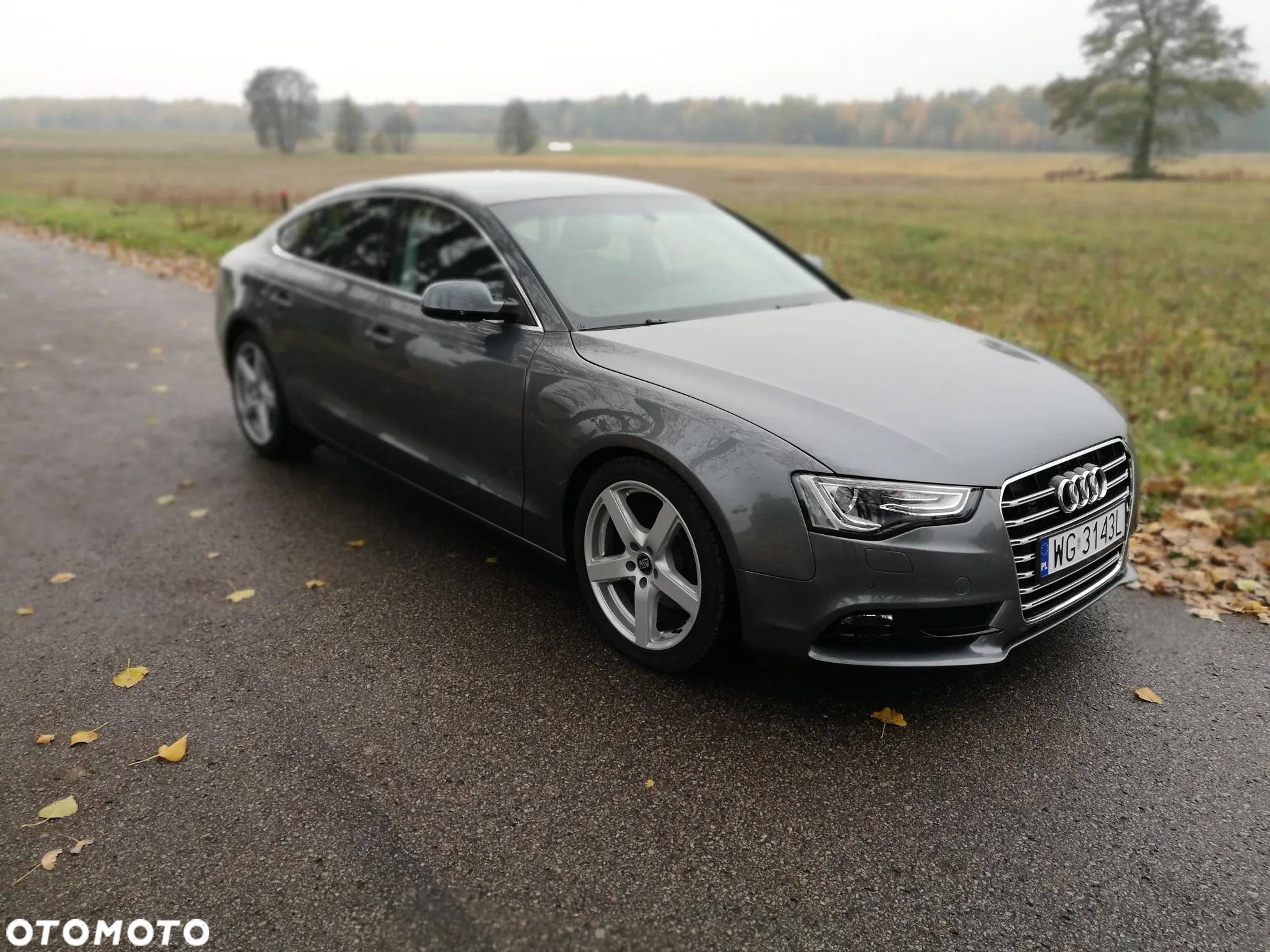 Audi A5 2.0 TDI - 11