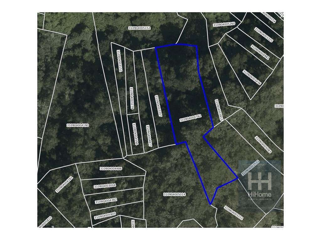 Terreno Agroflorestal com 2.420 m² | Acesso de Carro - Grande imagem: 4/6