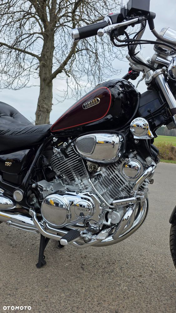 Yamaha Virago - 3