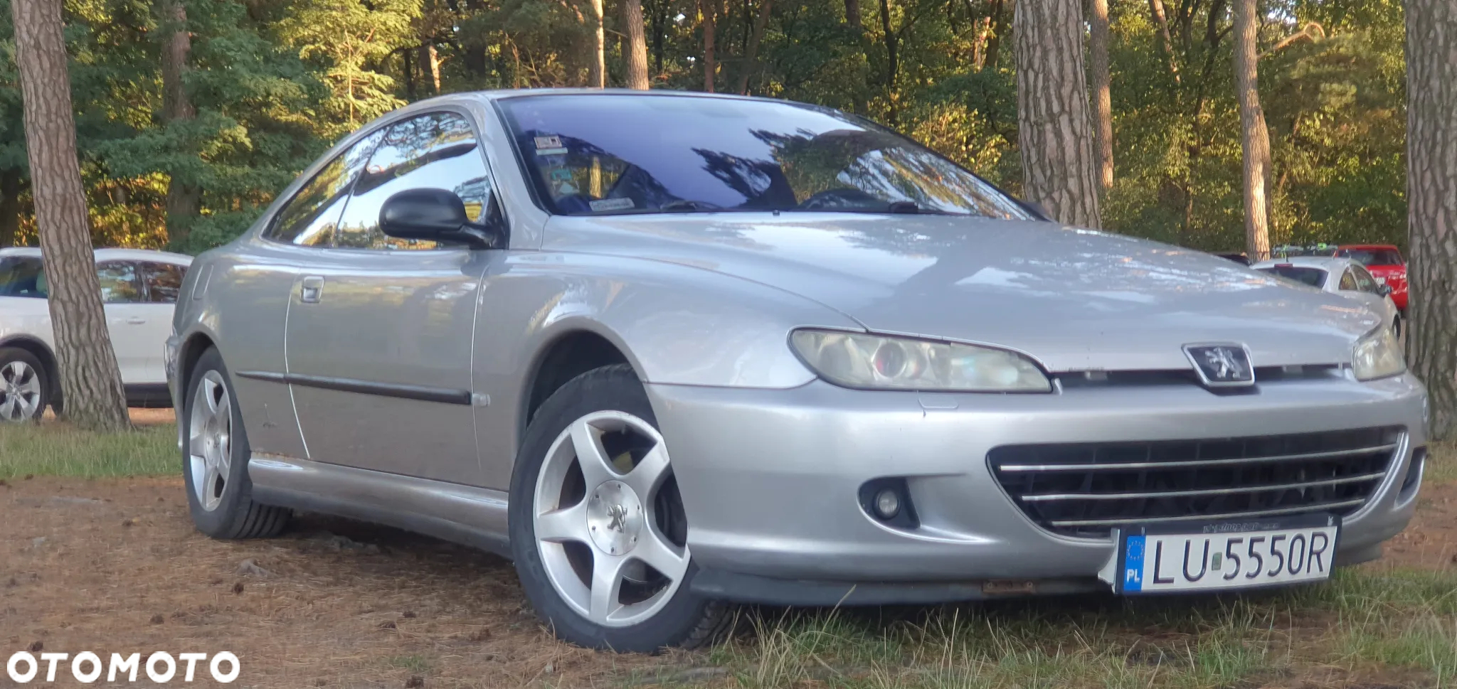 Peugeot 406 2.2 HDI - 10