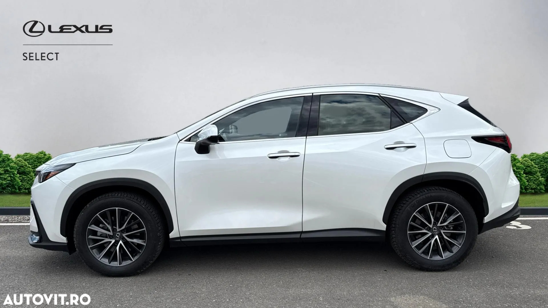 Lexus Seria NX 350h AWD CVT HEV Business - 6