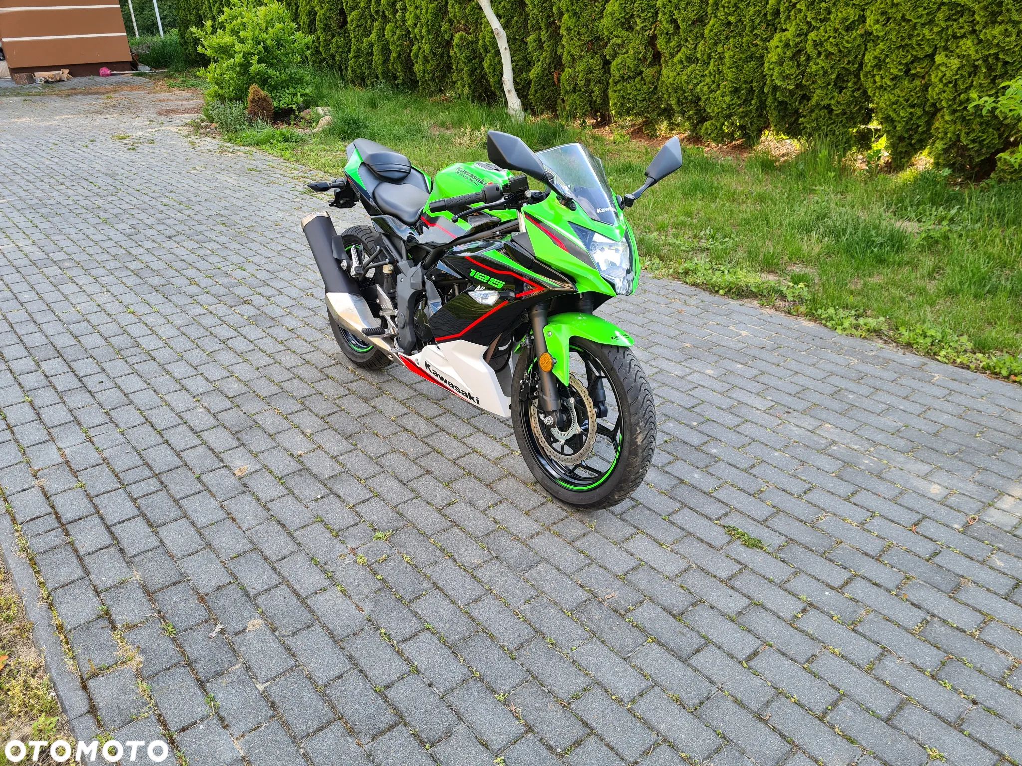 Kawasaki Ninja - 1